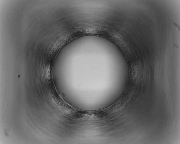 X0000100980502200807081247