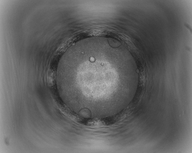 X0000100980503200807081247