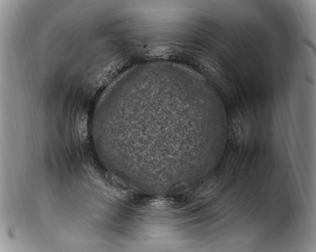 X0000100980504200807081247