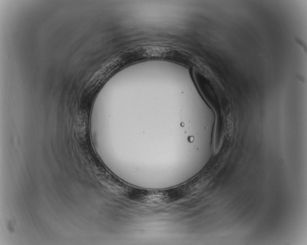 X0000100980505200807081247