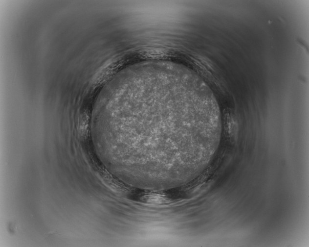 X0000100980507200807081247