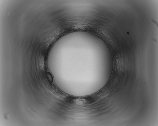 X0000100980508200807081247