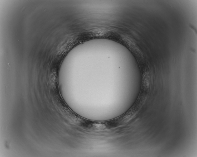 X0000100980509200807081247