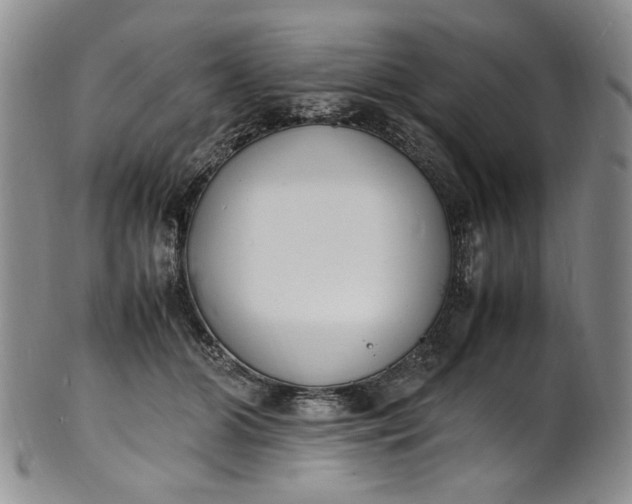 X0000100980510200807081247