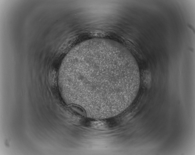 X0000100980511200807081247