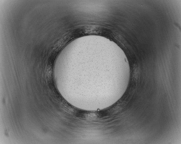 X0000100980513200807081247