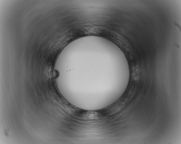 X0000100980514200807081247