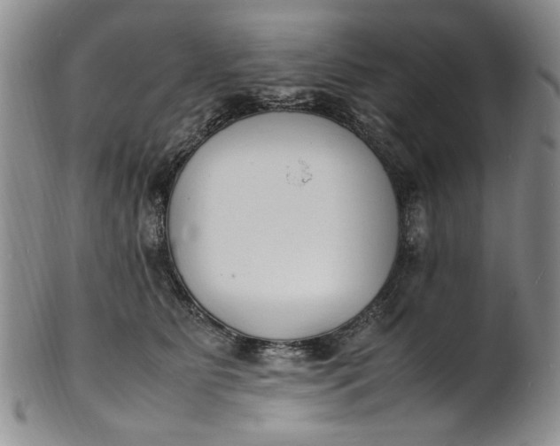 X0000100980515200807081247