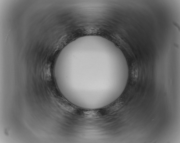 X0000100980516200807081247