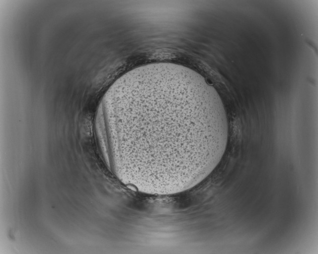 X0000100980517200807081247