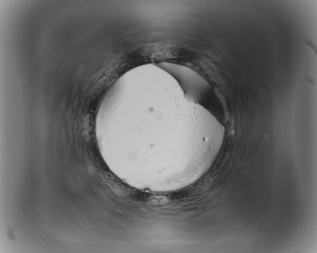 X0000100980519200807081246