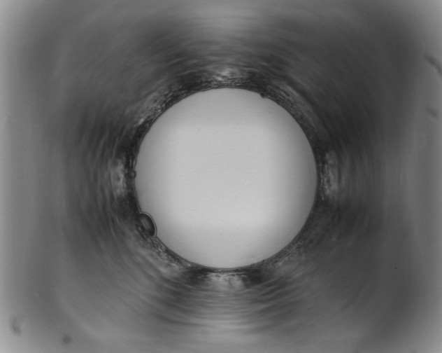 X0000100980520200807081246