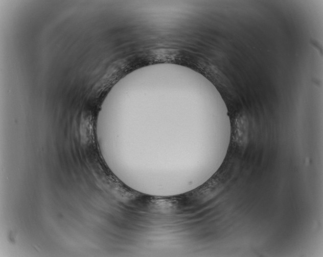 X0000100980522200807081246