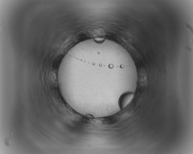 X0000100980523200807081246