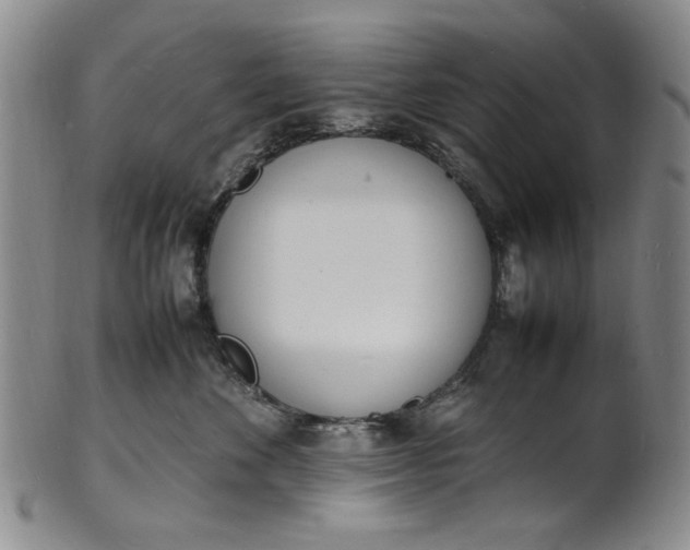 X0000100980524200807081246