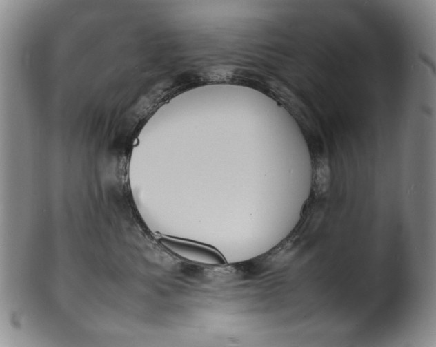 X0000100980525200807081246