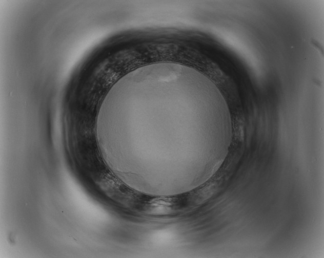 X0000100980526200807081246