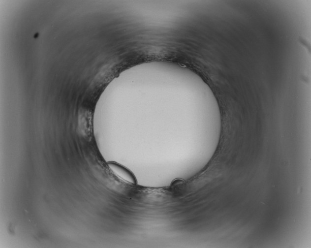 X0000100980528200807081246