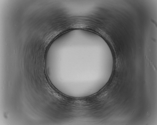 X0000100980529200807081246