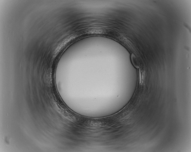 X0000100980531200807081246