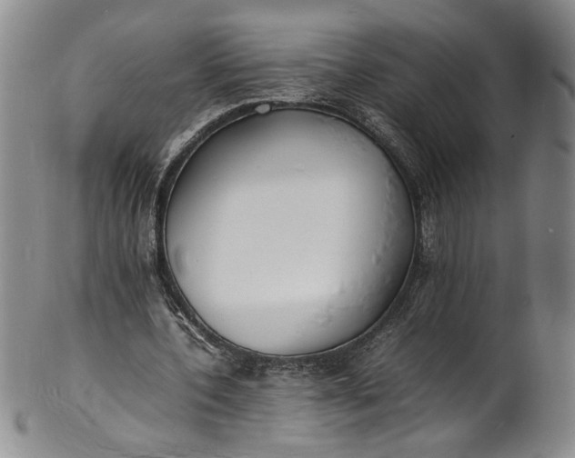 X0000100980532200807081246