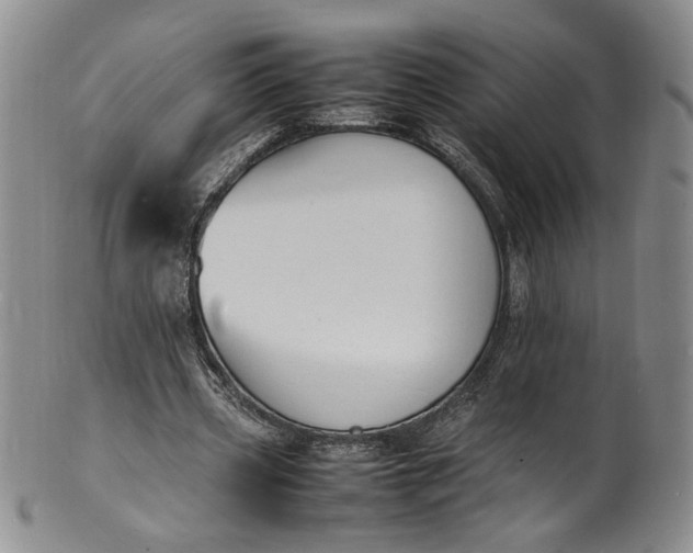 X0000100980533200807081246