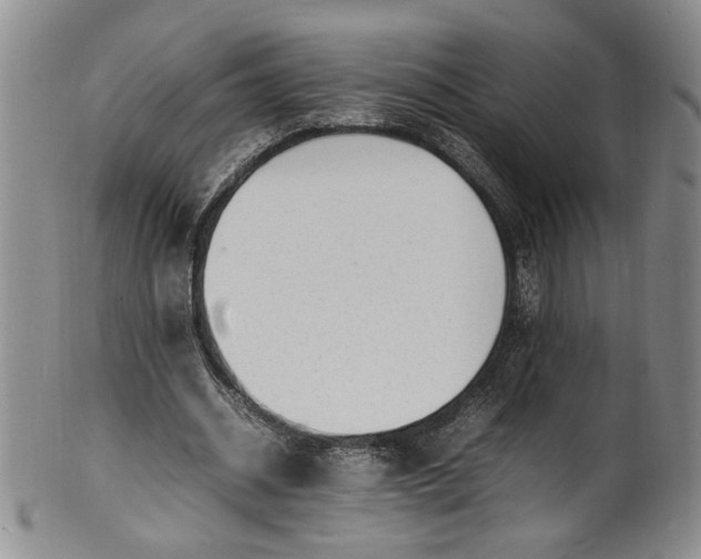 X0000100980534200807081246