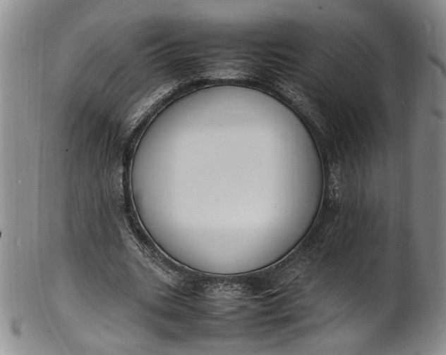 X0000100980535200807081246