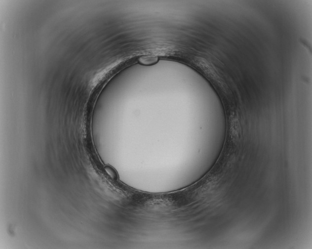 X0000100980536200807081246