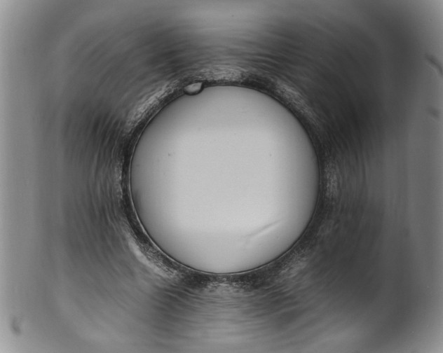 X0000100980538200807081246