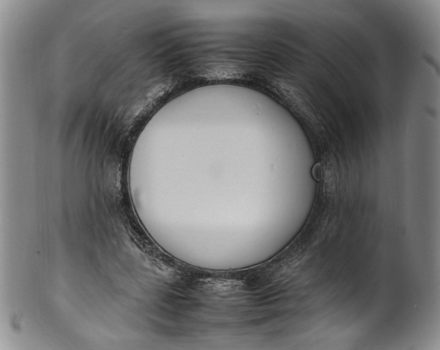 X0000100980539200807081246