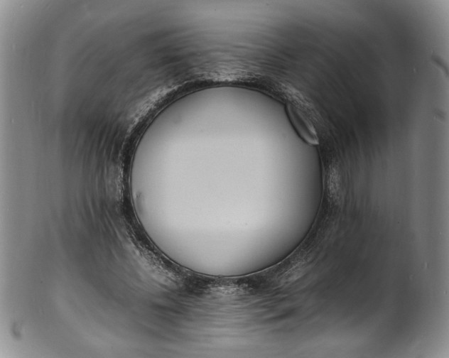 X0000100980540200807081246