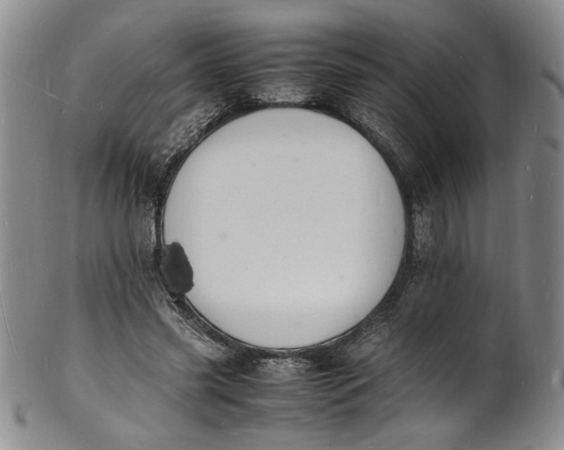 X0000100980541200807081246