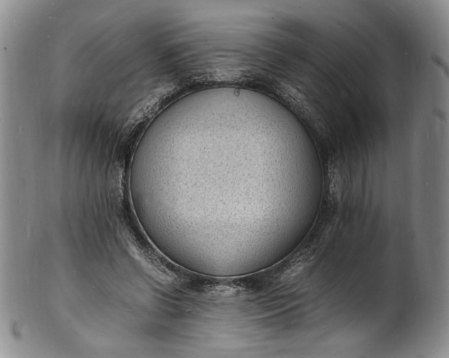 X0000100980542200807081246