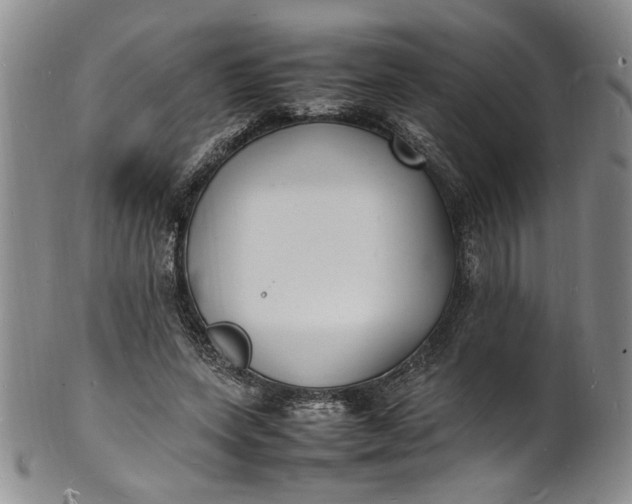 X0000100980543200807081246