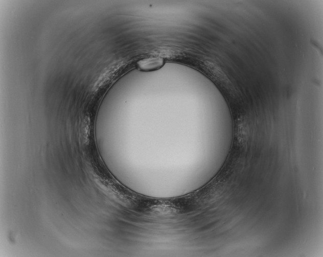 X0000100980544200807081246