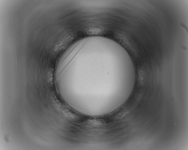 X0000100980545200807081246