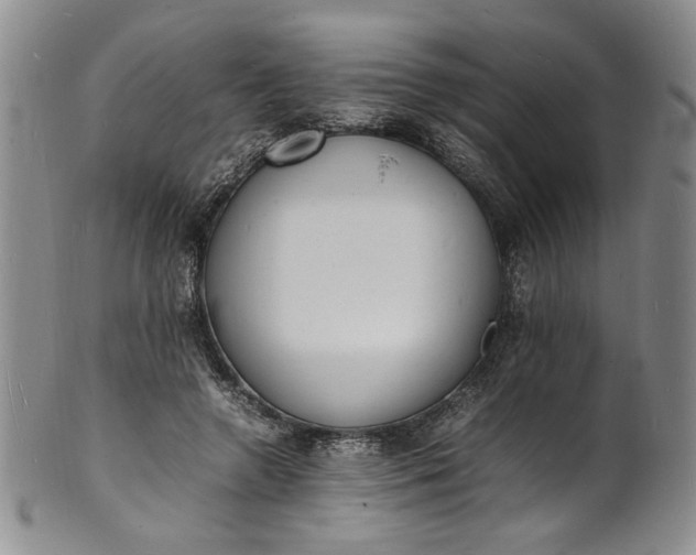 X0000100980546200807081246