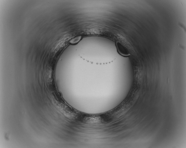 X0000100980548200807081246