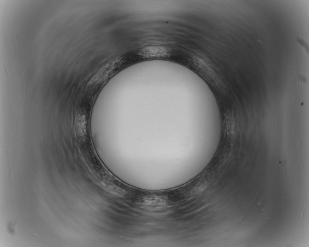 X0000100980549200807081246