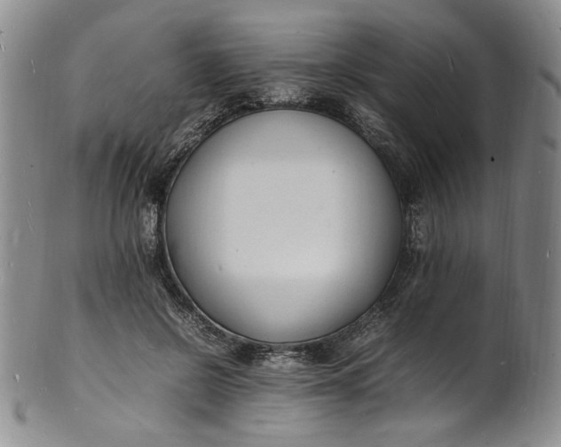 X0000100980550200807081246