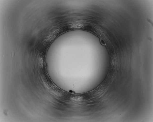 X0000100980551200807081246