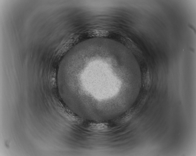 X0000100980553200807081246