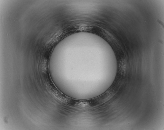 X0000100980554200807081246