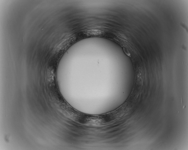 X0000100980555200807081246