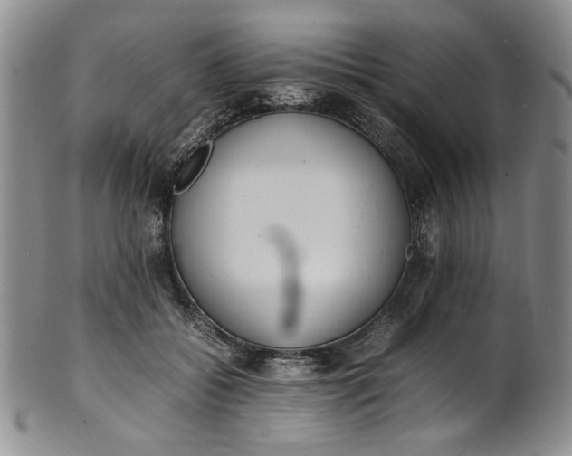 X0000100980556200807081246