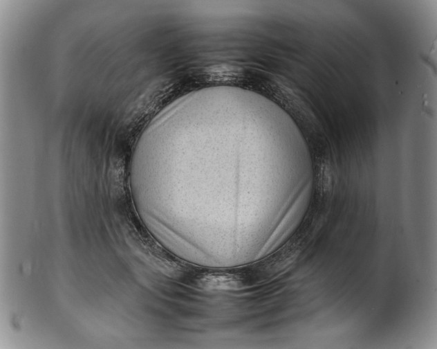 X0000100980557200807081246