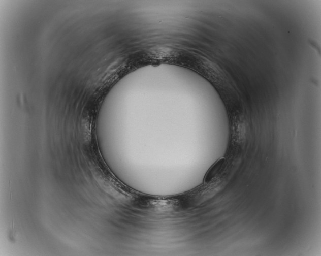 X0000100980558200807081246