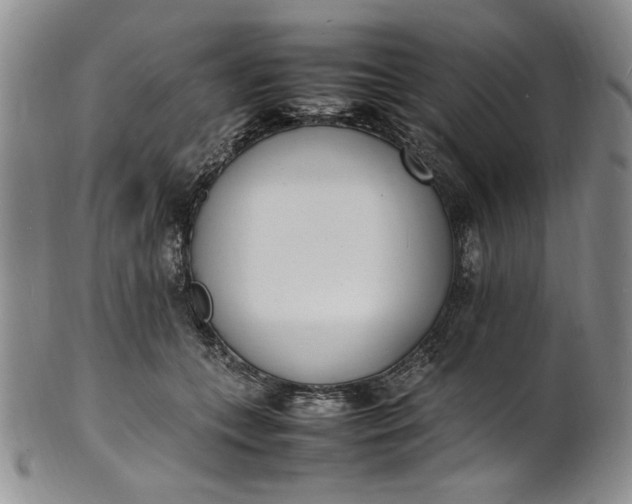 X0000100980559200807081246