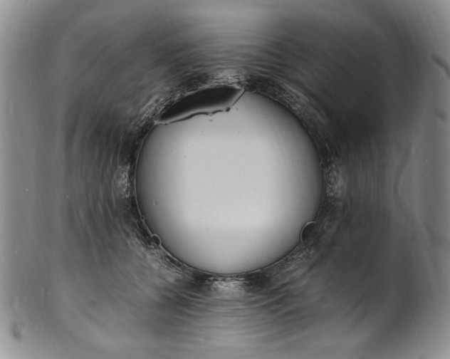 X0000100980560200807081246